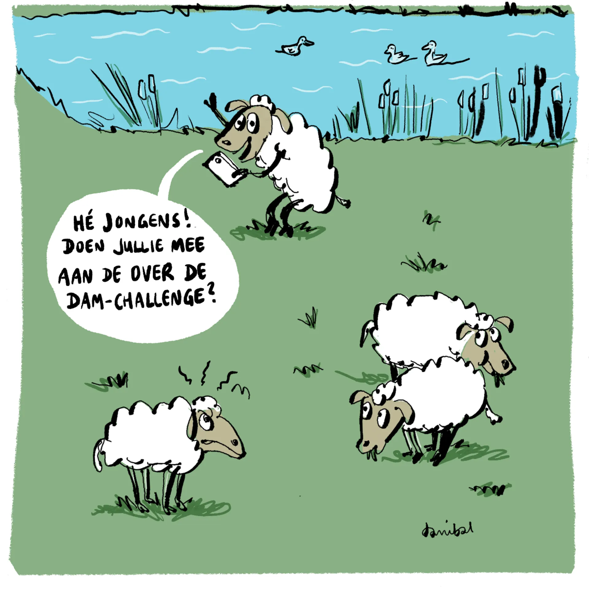 Afbeelding van TikTok-challenge