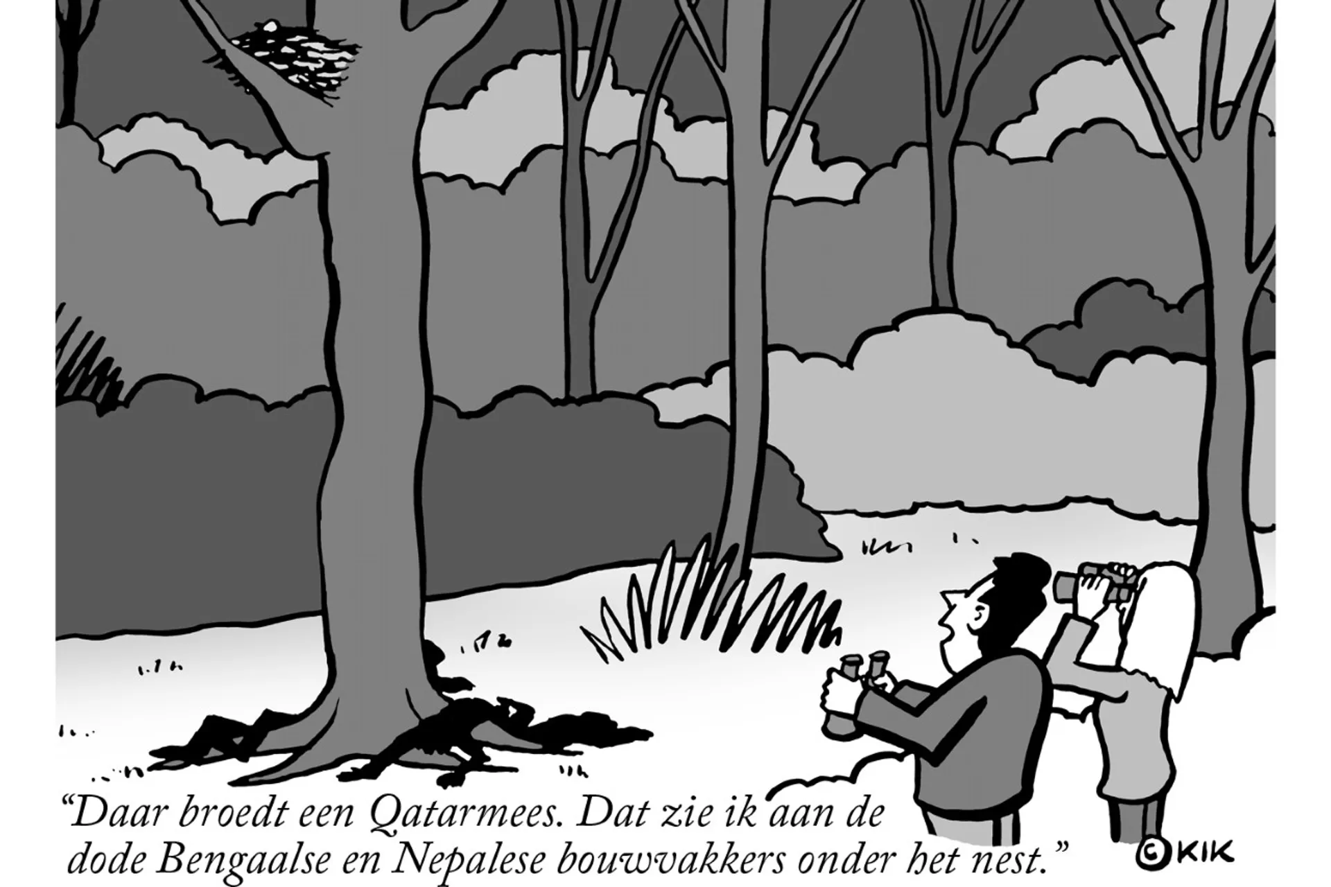 Afbeelding van Vreemde vogels