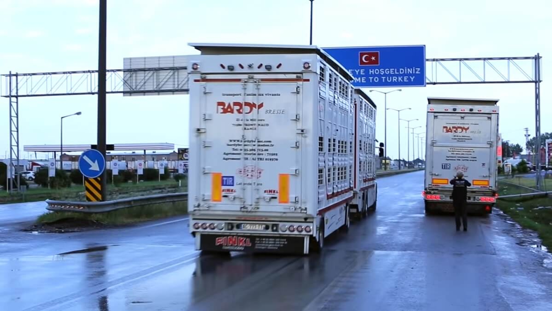 animalstoday-veetransport-naar-Turkije-3-screenshot-video-Animals-Today-YT