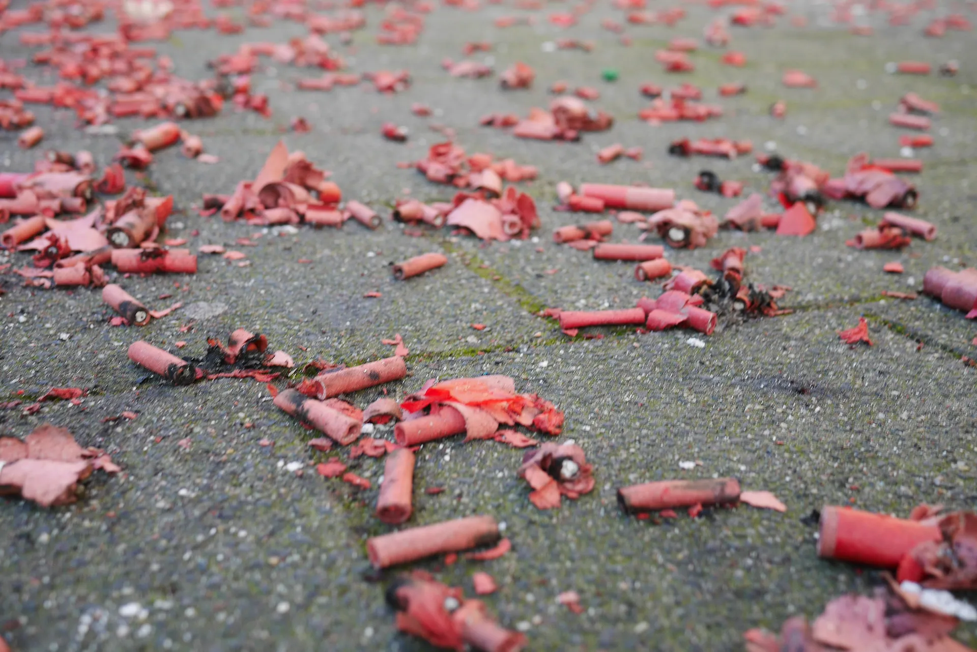 Afbeelding van De terreur van vuurwerk moet stoppen