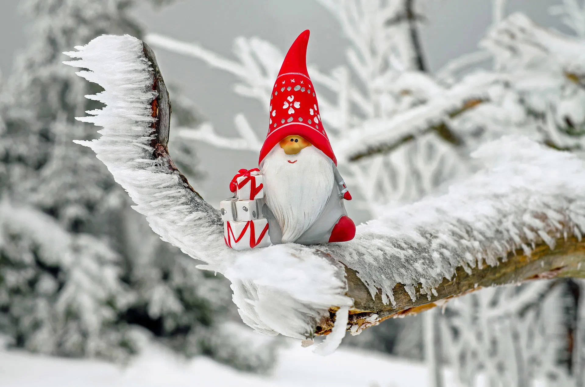 Afbeelding van Onze feestdagen worden ons afgenomen!