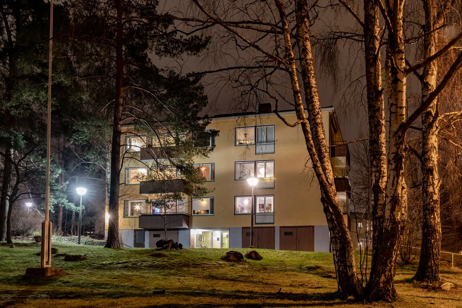 Afbeelding van Zes adviezen plus een tip om de donkere dagen van de lichte lockdown door te komen