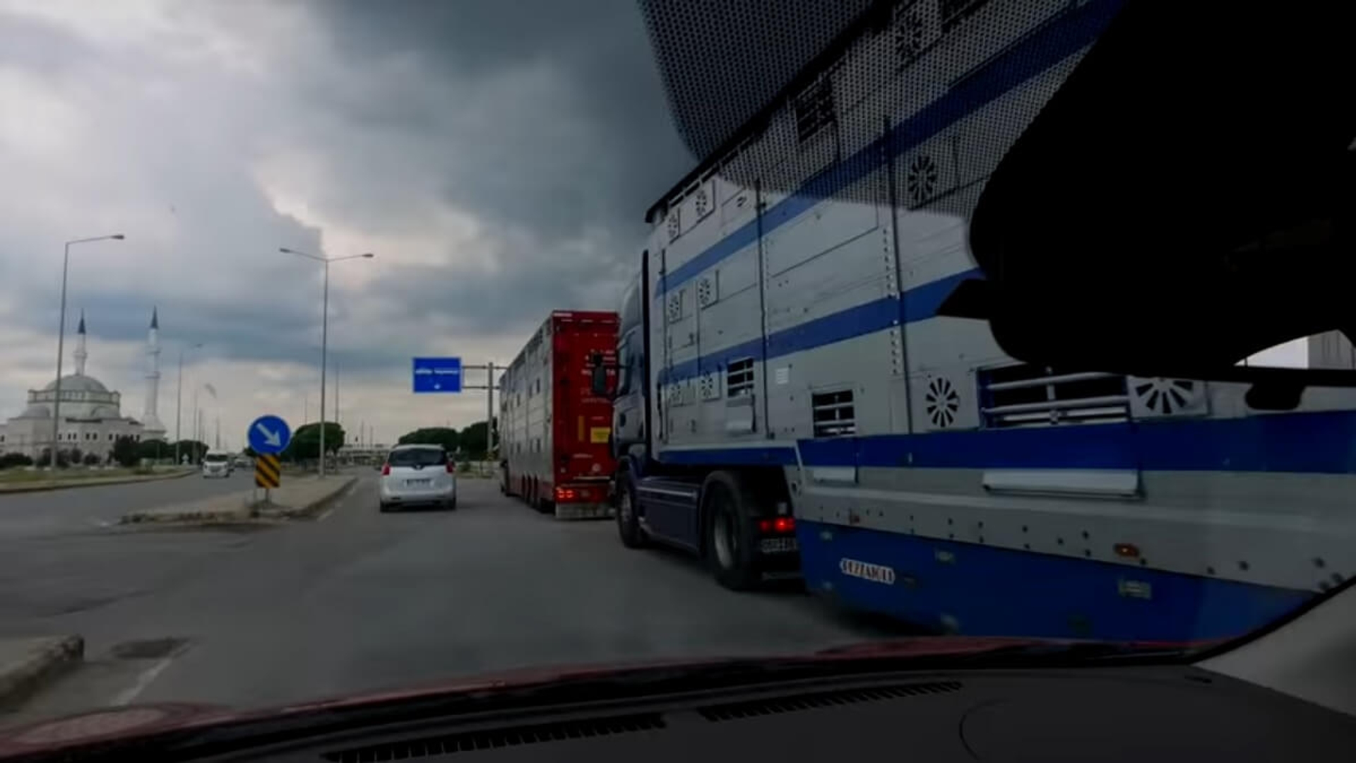animalstoday-veetransport-naar-Turkije-1-screenshot-video-Animals-Today-YT