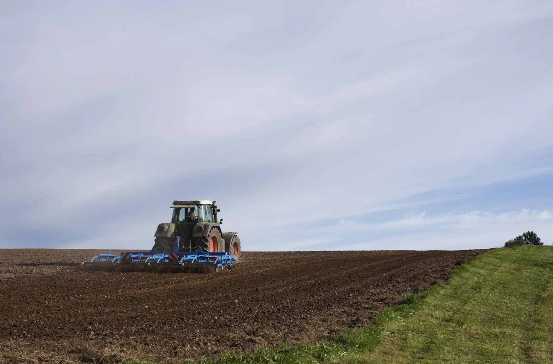 Afbeelding van Maak de landbouw robuuster voor gegarandeerde voedselvoorziening