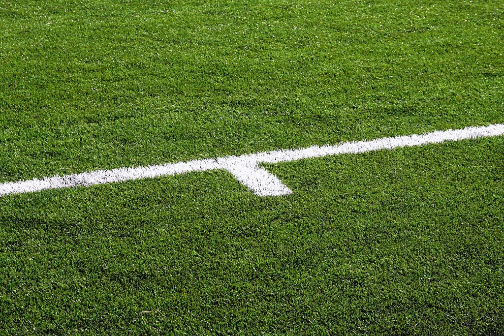 Afbeelding van ZEMBLA: RIVM wil onderzoek naar milieurisico’s kunstgras