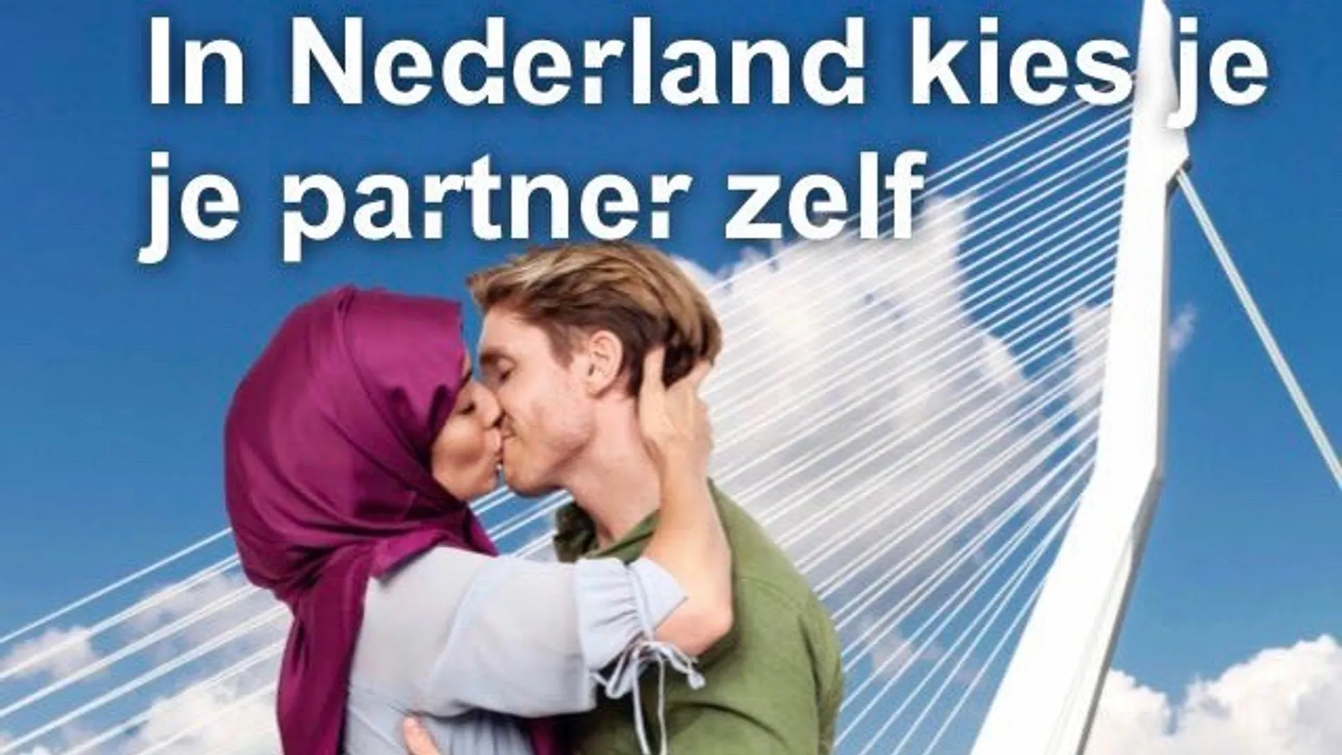 Afbeelding van Waarom Leefbaar en hun postertjes niet deugen
