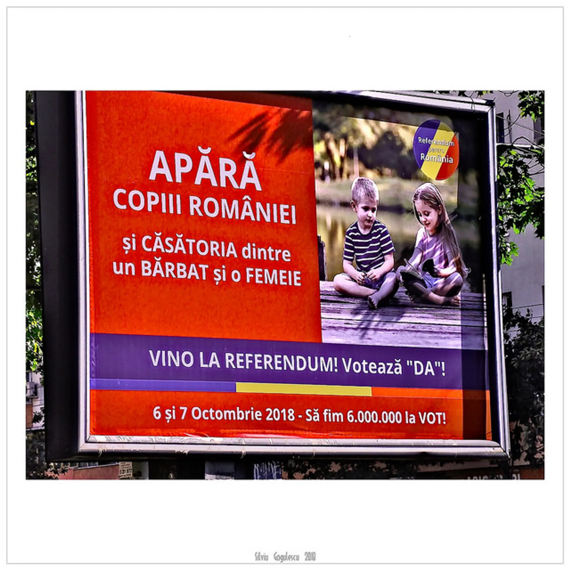 Afbeelding van Homofoben vangen bot in Roemenië, referendum mislukt