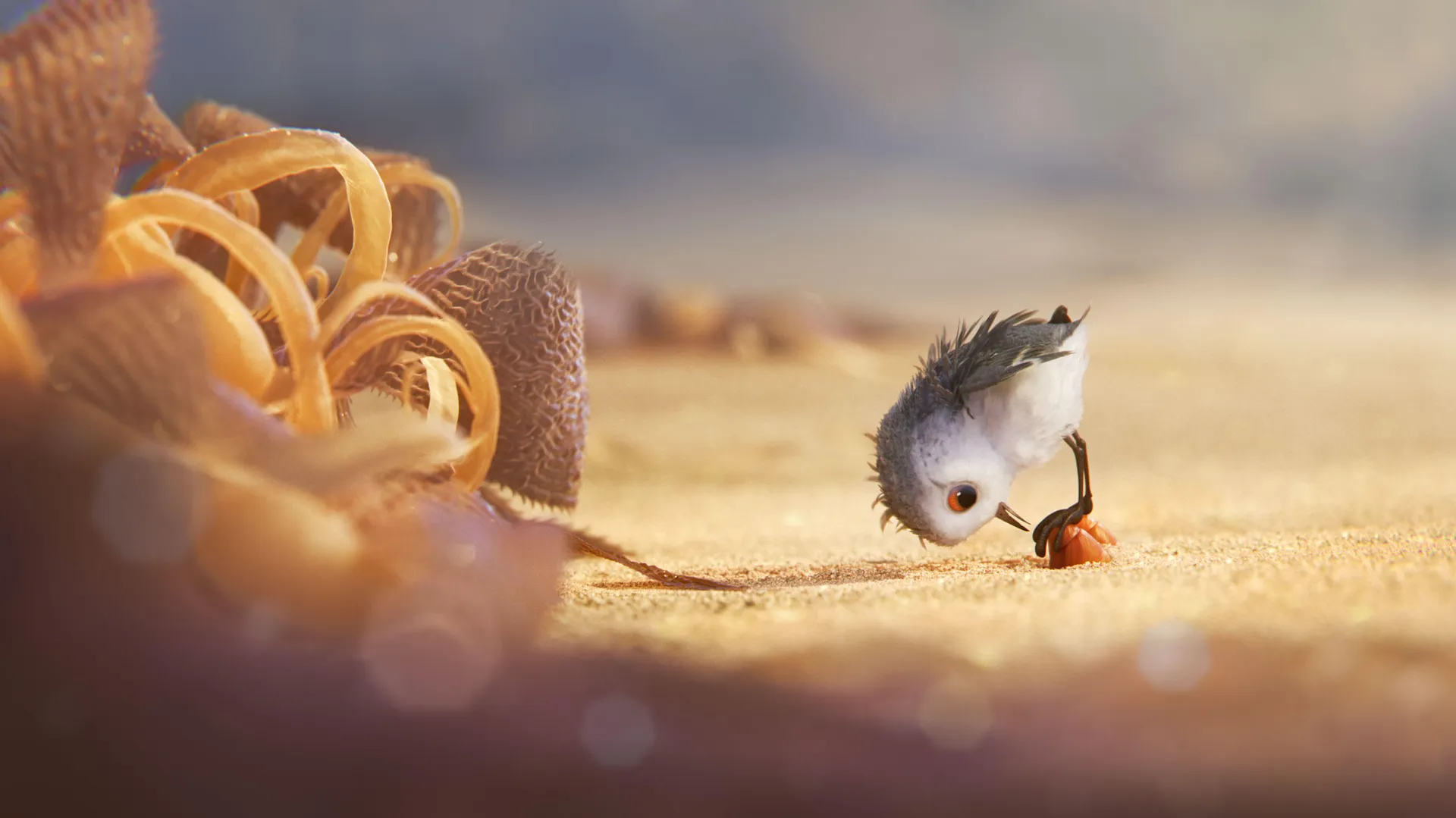 Afbeelding van De held van de dag is een bang vogeltje