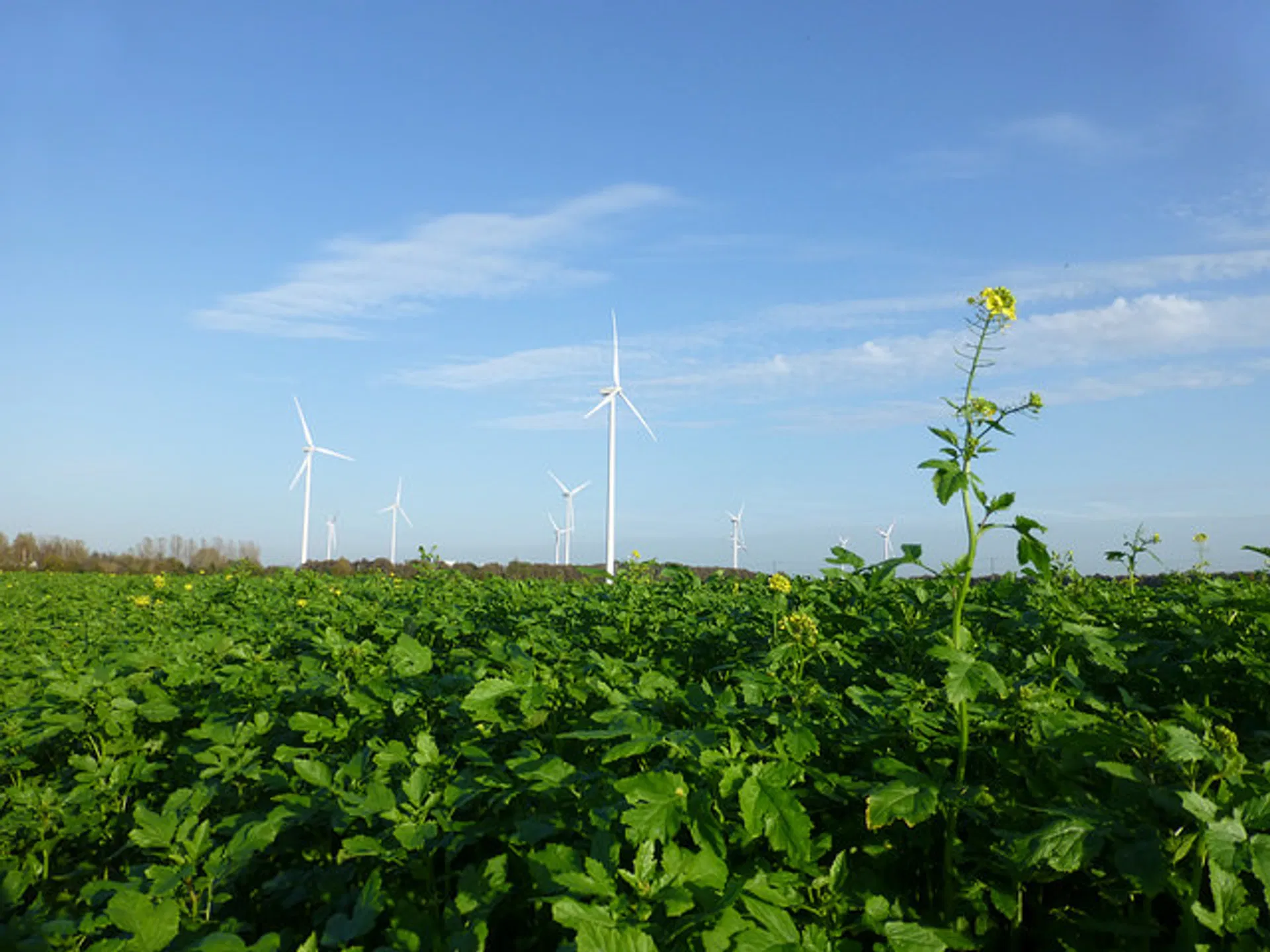 Energietransitie Biedt Kansen Voor Links - Joop - BNNVARA