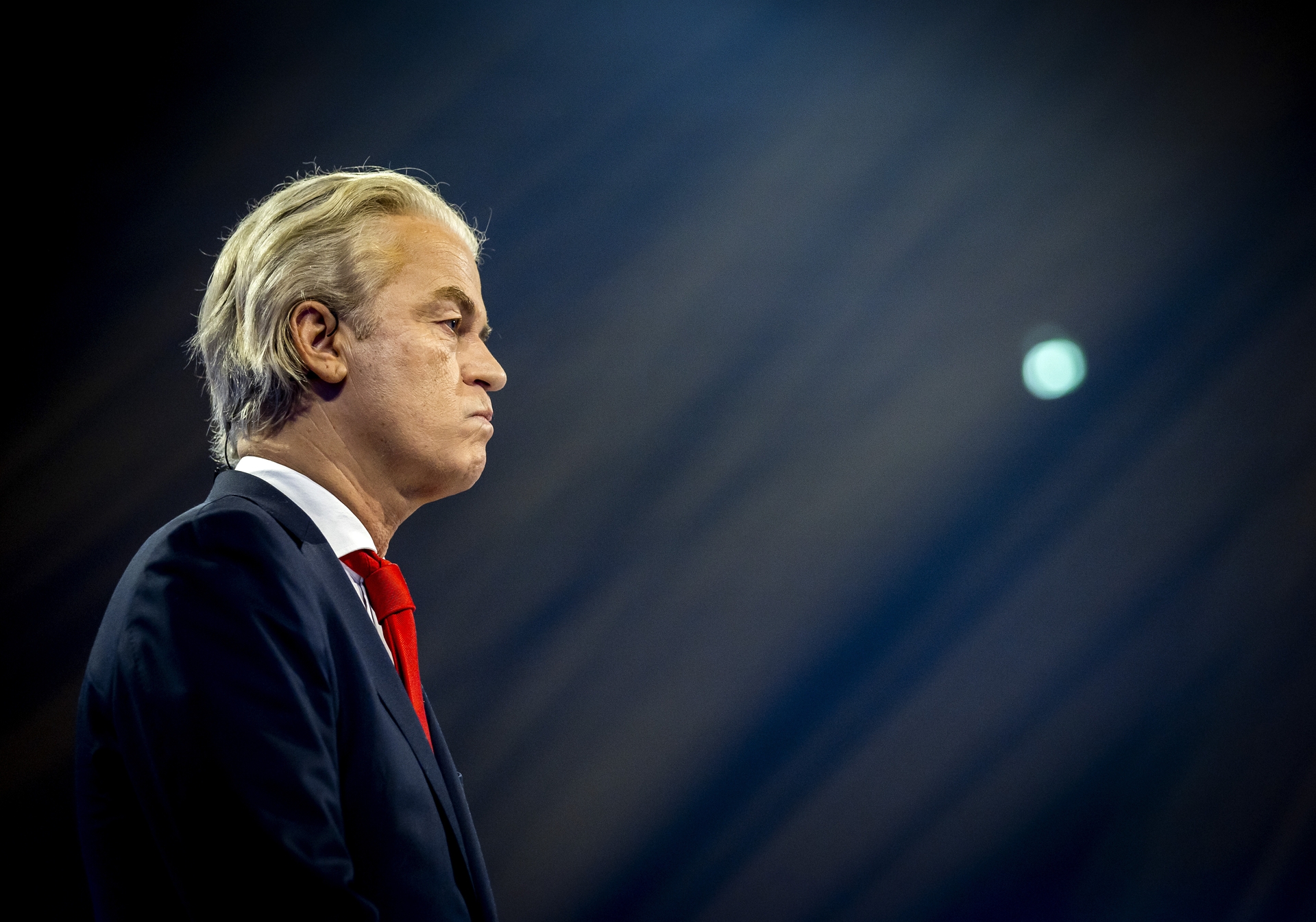 Afbeelding van Wilders gaat onze laatste huismussen vermoorden!