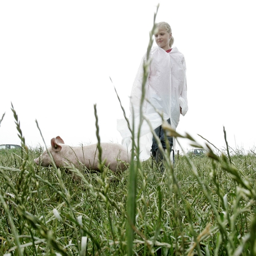 Het nieuwe radiospotje van de agrolobby is een pijnlijke misser