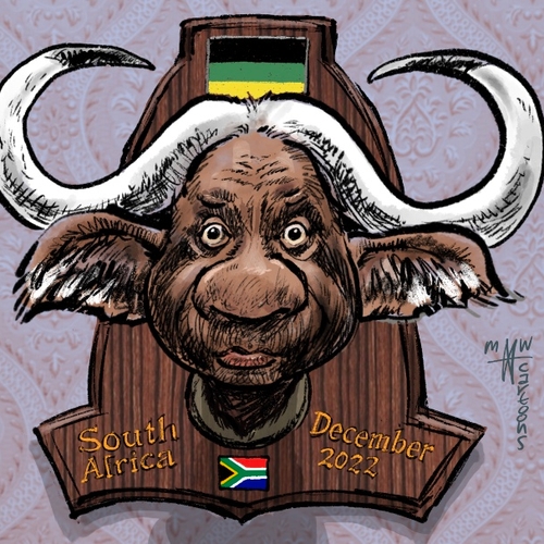 Afbeelding van Schimmige koehandel brengt president Cyril Ramaphosa, president van Zuid-Afrika, mogelijk ten val