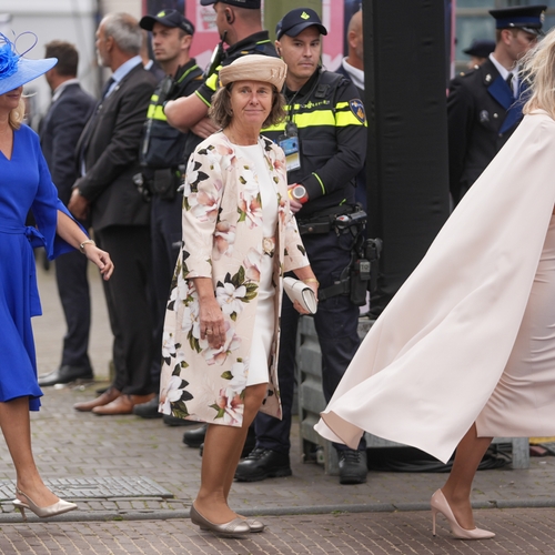 Het kabinet van de onderbuik