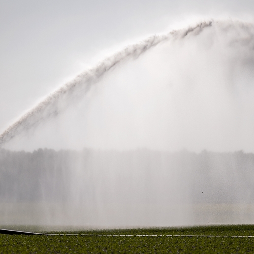 Afbeelding van Het grondwaterprobleem is vooral een boerenprobleem