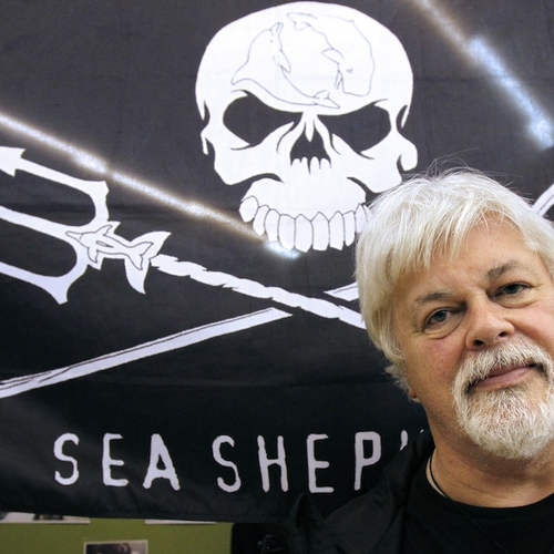 Groenland arresteert walvisredder Paul Watson, uitlevering aan Japan dreigt