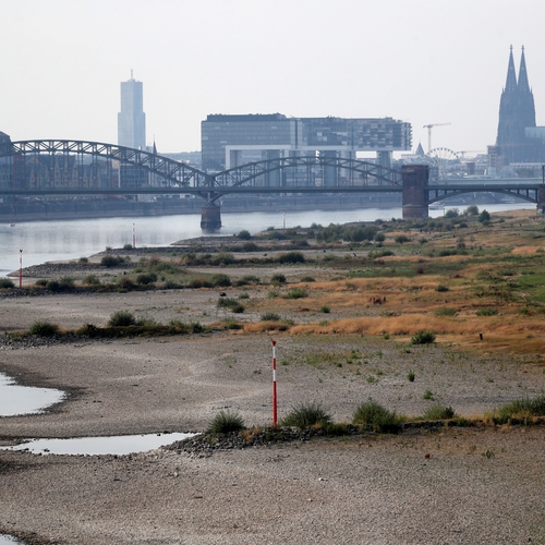 Afbeelding van De Rijn, levensader van Nederland, wordt bedreigd