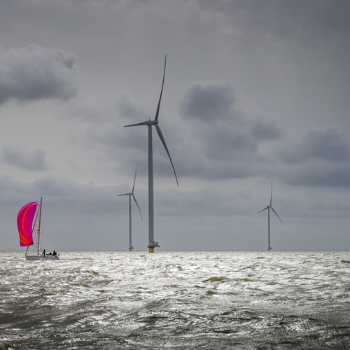 Windmolens kunnen zegen zijn voor zeeleven