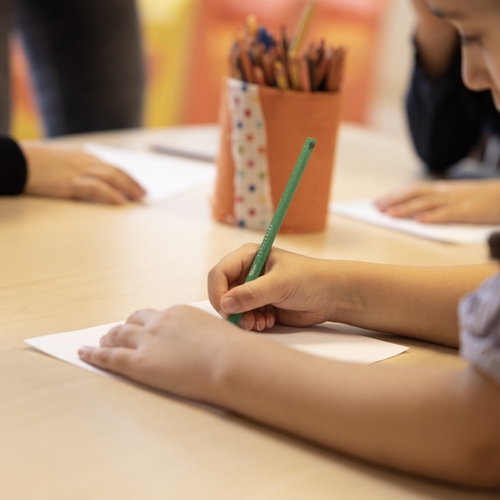 Schrijven nieuwe kerndoelen beter onderwijs voor?