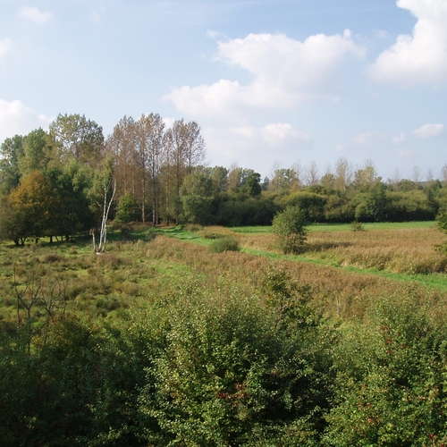 Herstel van de natuur blijkt uiterst lucratief: investering van 1 euro levert 8 euro op voor samenleving