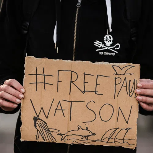 Streep door deportatie walvisredder Paul Watson naar Japan