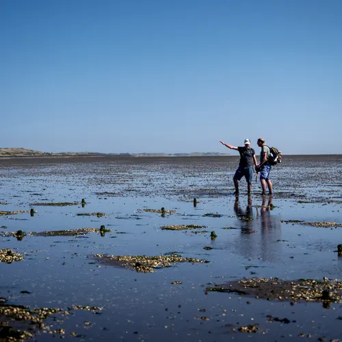 De Waddenzee heeft geen rechten