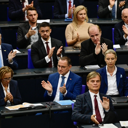 Duitsland: Kamerleden plannen een verbod van de AfD