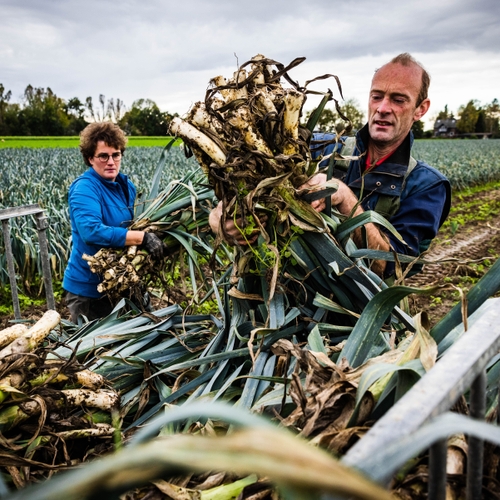 Landbouwgrond verdient bescherming