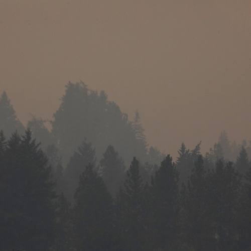 Klimaatontkenner blijkt verantwoordelijk voor zeker 14 bosbranden