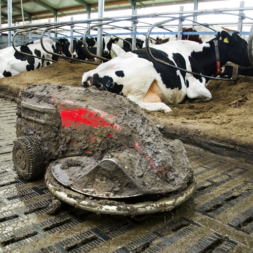 Klimaatverwoestend dieet met vlees en zuivel kunstmatig goedkoop door EU-subsidies