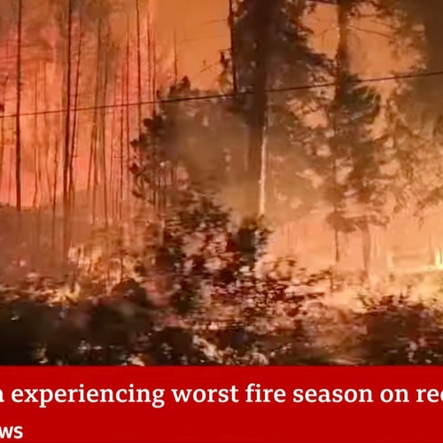 Bosbranden Canada dubbel zo erg wegens klimaatcrisis, Facebook hindert het redden van mensen