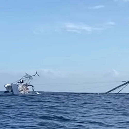 Afbeelding van Orka's brengen midden op zee Franse zeilboot tot zinken, bemanning gered