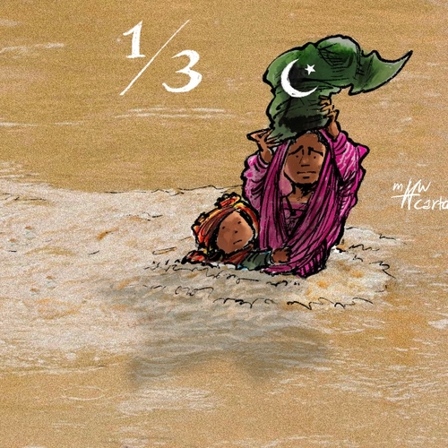 Afbeelding van Een derde van Pakistan staat onder water