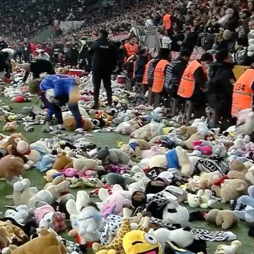 Duizenden knuffelberen op voetbalveld voor kinderen in aardbevingsgebied