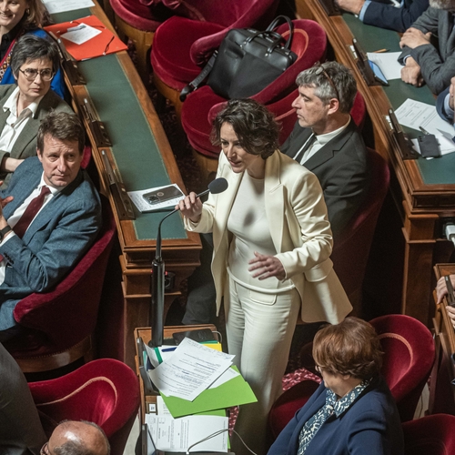 Doorbraak in Frankijk: Senaat stemt voor verankeren abortusrecht in grondwet