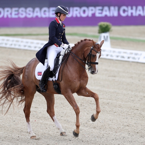 Mishandelingen in de paardensport zijn geen incident