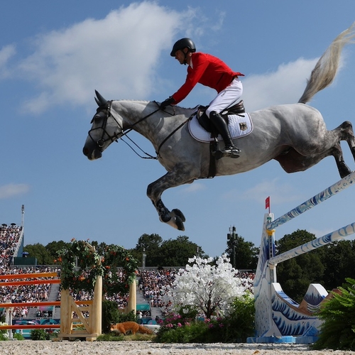 Tijd om een einde te maken aan de paardensport