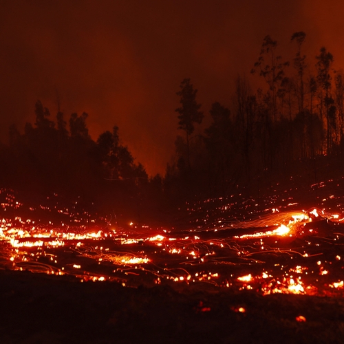 Zuid-Amerika zucht onder extreme hitte en bosbranden: al bijna duizend gewonden