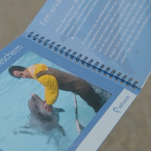 Dolfinarium schendt regels en behandelt dolfijnen nog steeds als circusdieren
