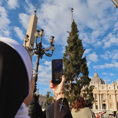 Italiaans dorp in opstand tegen Vaticaan dat tweehonderd jaar oude spar wil kappen voor jaarlijkse kerstboom