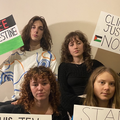 Greta Thunberg: ‘Vandaag staken we voor Palestina en Gaza’