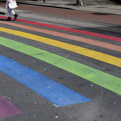 BBB-Statenlid noemt regenboogzebrapad 'provocatie' en maakt vergelijking met hakenkruis