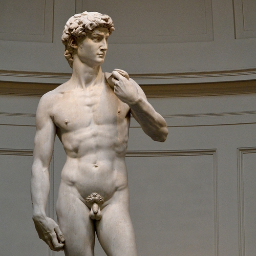 Afbeelding van Schooldirecteur Florida ontslagen wegens tonen 'pornografisch' kunstwerk van Michelangelo