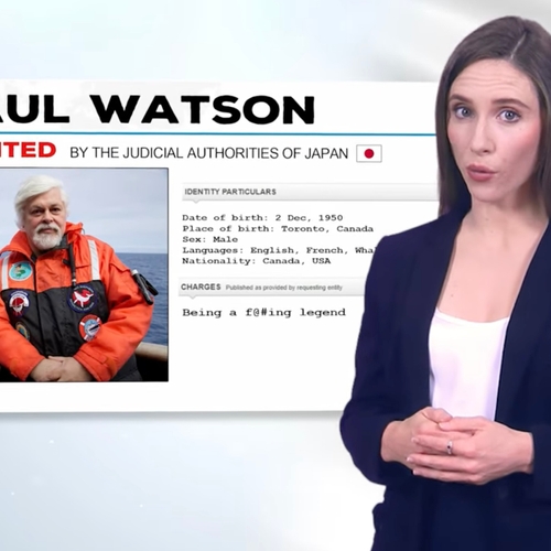 Paul Watson is de zoveelste natuurbeschermer die wordt vervolgd terwijl de vernietigers vrijuit gaan