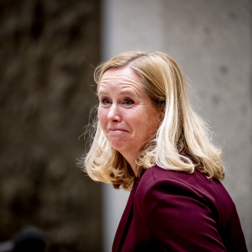 Minister Klever heeft met haar plannen minder last van die irritante NGOs