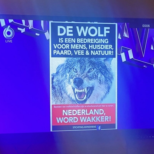 Hetze tegen de wolf in Nederland