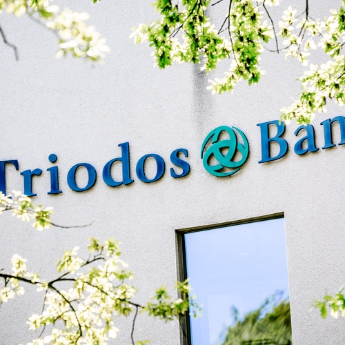 Afbeelding van Triodos Bank als barmhartige Samaritaan?