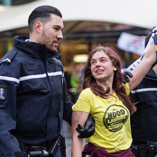 Afbeelding van Hoogleraren: aanpak demonstranten op Schiphol ging veel te ver