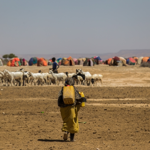 Kabinet maakt 6 miljoen euro extra vrij voor noodhulp Somalië en Zuid-Sudan