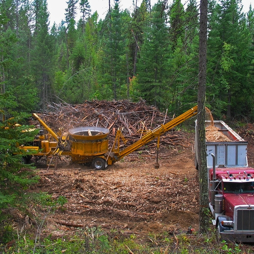 Ecokapitalisme: hoe biomassa een business model werd