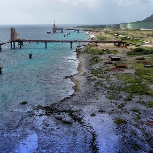 Afbeelding van Zembla over bedreigd Nederlands koraal